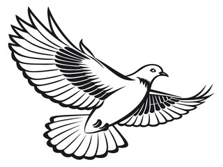 Obraz premium dove on white background