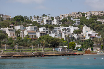 Coastal view of modern white villas overlooking serene blue waters in a sunny, vibrant landscape