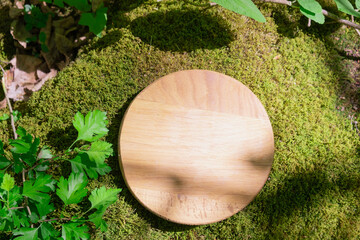 Wooden pedestal or podium for products on mossy ground top view