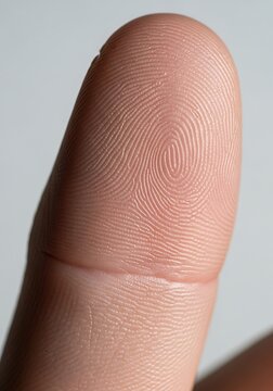 High-Resolution Macro Image of Human Fingerprint for Identification and Biometric Use
