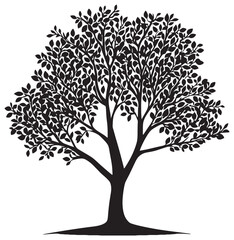 Obraz premium Silhouette of amla tree element