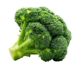 Close-up of a fresh green broccoli floret.  Bright, vibrant green head with visible florets and stem.  Isolated on black background