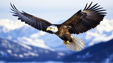 Naklejka premium Majestic eagle soaring over snow-capped mountains (5)