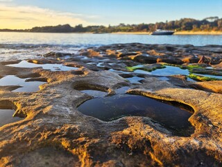 Close up of textured seaside rock pools at sunset, with a tree-lined beach and boat across the water.