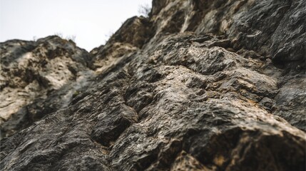 Rugged Stone Face: A striking up-close shot of a weathered, textured rock face, revealing the intricate details of its natural formation and resilient nature, evoking a sense of enduring strength.