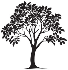 Obraz premium Silhouette of cassia tree element