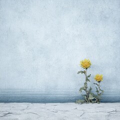 Yellow Flowers Against Wall