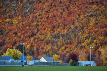 Autumn colors illuminate Arrowtown in New Zealand's breathtaking landscape