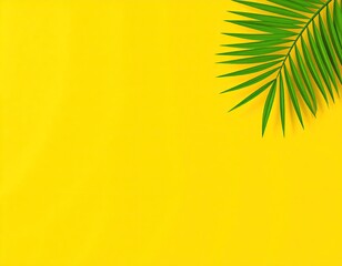 Two green palm leaves on table
4