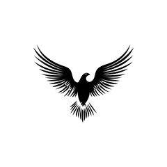 Obraz premium eagle illustration'