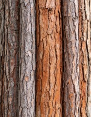 Obraz premium Close-up of stacked pine logs