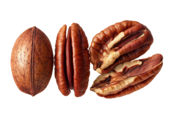 Close-up of three pecan halves and one whole pecan