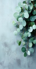 Soft green eucalyptus sprigs on textured gray background