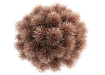 Round, fluffy, tan fur rosette