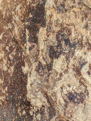 Detailed image showcasing the natural texture and intricate patterns of a weathered rock surface.