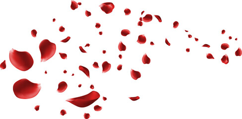 Romantic Red Rose Petals Falling Love Valentine Wedding Celebration Background Elegant Beauty