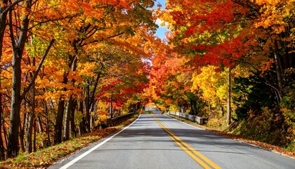 Obraz premium Autumnal road through a vibrant fall forest