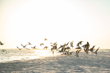 birds flying across the beach, Pensacola Beach, Florida