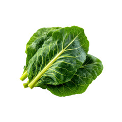 Fresh Green Collard Greens Leaves Isolated on Black Background