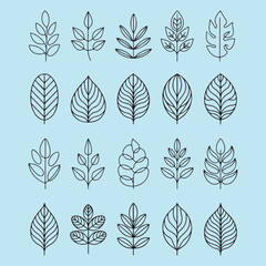 Fototapeta premium Various leaf designs outlined in black on a light blue background