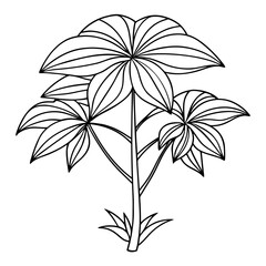 black and white flower vector