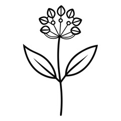 black and white flower