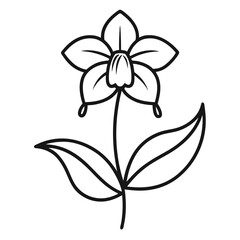 black and white flower