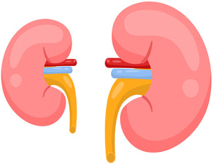hypoplasia Kidney