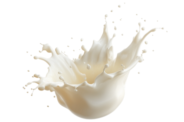Realistic milk splashes or wave with drops and splatter isolated Milk splash and pouring, White milk wave splash with splatters and drops. Ai. Cutout on transparent	