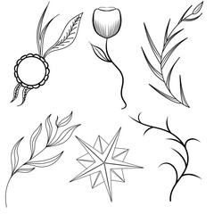 ornament flower illustration 
