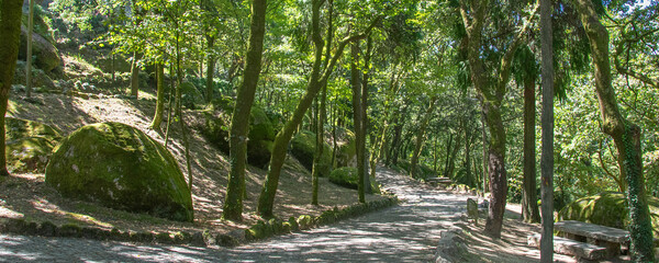 Landscape scene at penha park, guimaraes city, portugal