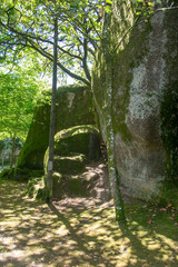 Landscape scene at penha park, guimaraes city, portugal