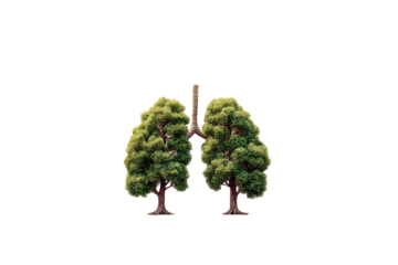 Two stylized trees forming a pair of lungs.  Green foliage represents the lungs, with brown roots and branches.  Simple, symbolic representation