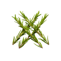 Obraz premium Fresh Rosemary Sprigs - Aromatic Herb Close-up