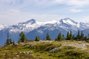 Snow-Capped Mountains and Green Valley in Whistler, BC, Canada