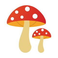mushroom pair on white background