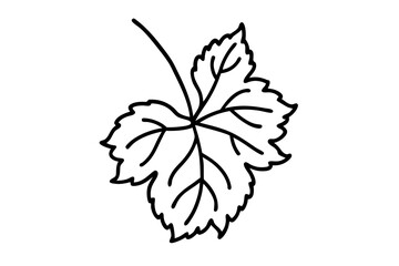 line art Grape Leaf silhouette vector illustration