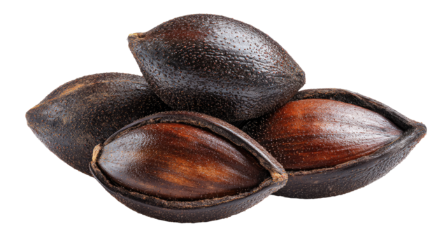 Close-up of several dark-brown, oval-shaped seeds, possibly nuts, piled in a group.  The seeds have a slightly glossy, dark-brown shell and some are opened to show a lighter, inner kernel