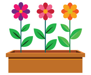 Three colorful blooming flowers in a brown planter box on a white background