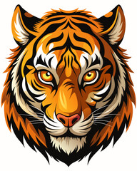 Tiger Head Illustration