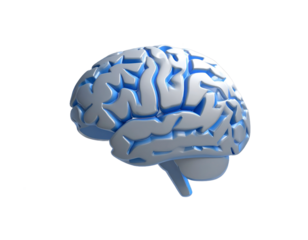 3D Rendered Human Brain Side View Illustration In White And Blue Colors Against Black Background Isolated Transparent Background