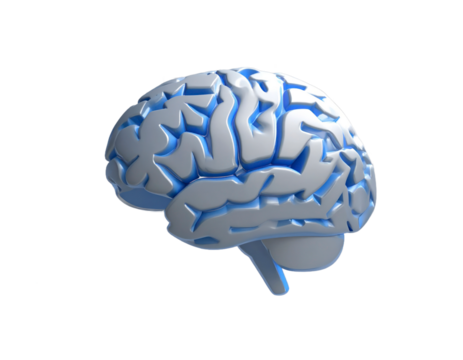 3D Rendered Human Brain Side View Illustration In White And Blue Colors Against Black Background Isolated Transparent Background