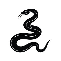 Fototapeta premium black snake isolated on white