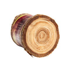 Obraz premium Cross-Section of a Sugarcane Stalk Revealing Growth Rings