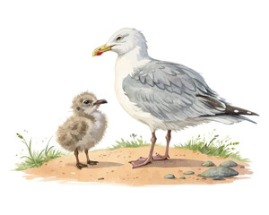 watercolor mother seagull with her kid vector illustration isolated on white background