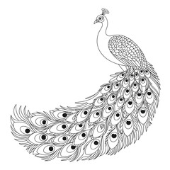 ‎A line art Peacock illustration of a coloring page
