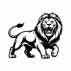 Obraz premium Majestic Lion Walking Proudly With Open Roaring Mouth and Full Mane