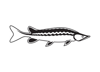 Lake Sturgeon Silhouette with Distinctive Fins, Barbels, and Elongated Body Profile.