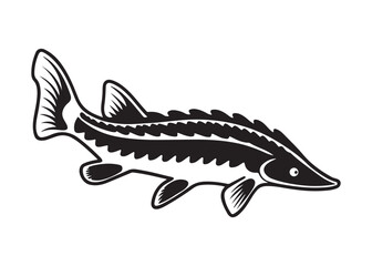 Silhouette of a Lake Sturgeon with Long Body and Prominent Barbels in Motion.
