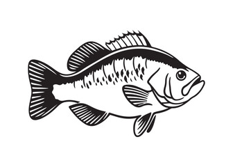 Bass Fish Silhouette Vector Illustration with Sharp Fins on Clean White Background.